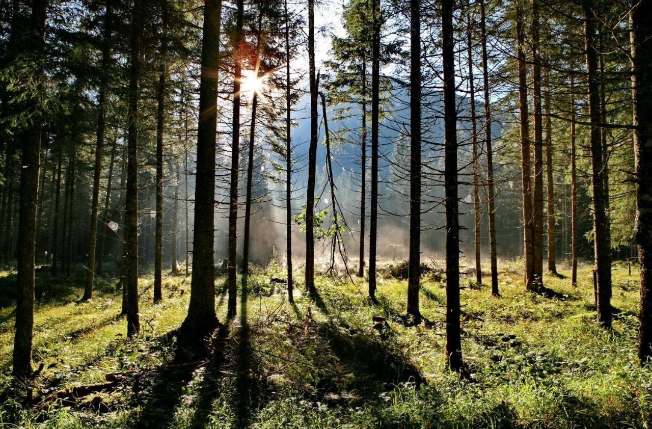Ferienwohnung Pyhrgasblick Rosenau am Hengstpass Екстер'єр фото