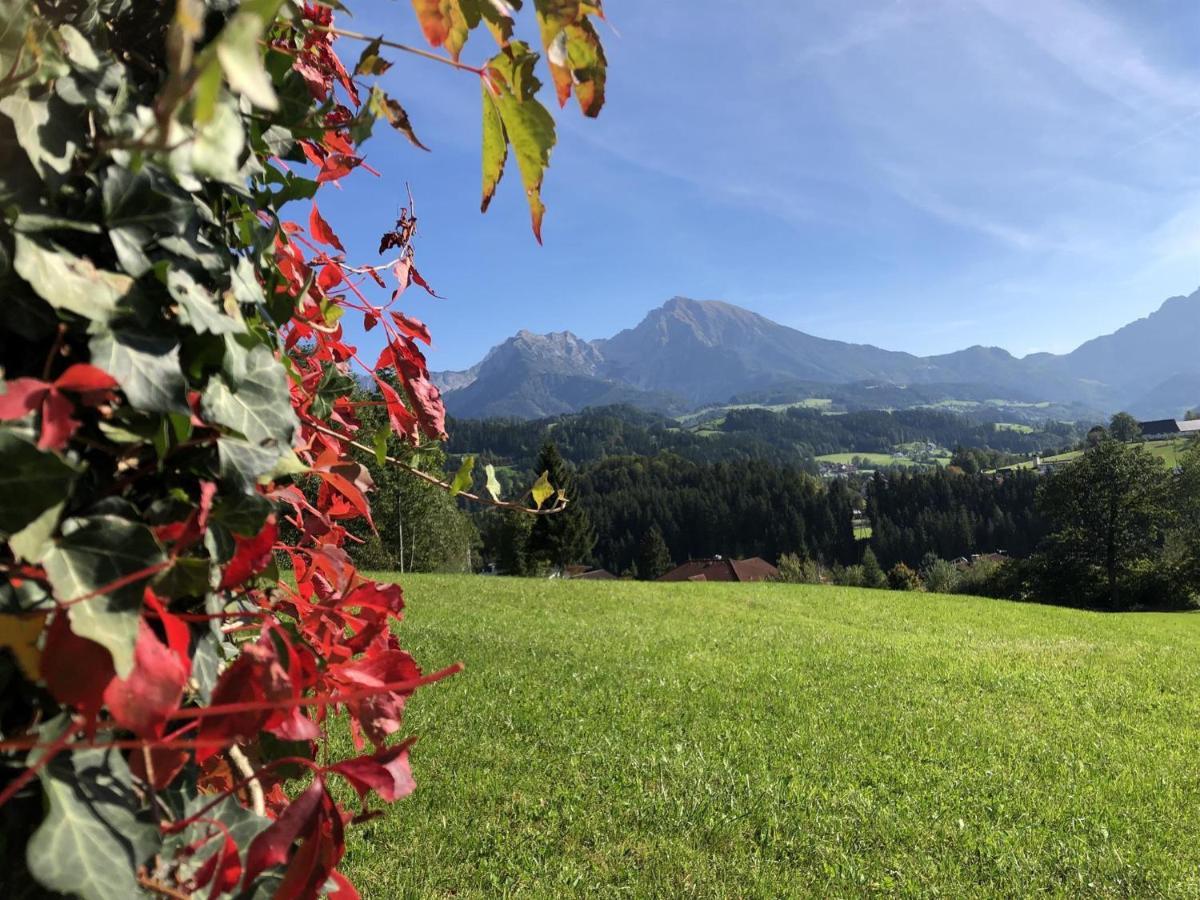 Ferienwohnung Pyhrgasblick Rosenau am Hengstpass Екстер'єр фото