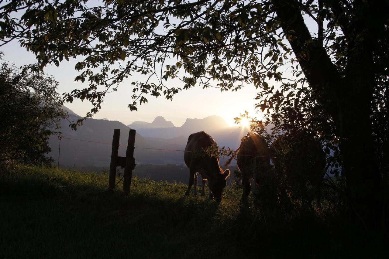 Ferienwohnung Pyhrgasblick Rosenau am Hengstpass Екстер'єр фото