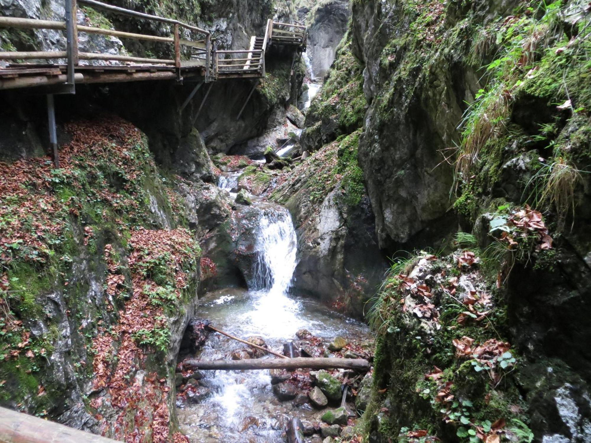 Ferienwohnung Pyhrgasblick Rosenau am Hengstpass Екстер'єр фото