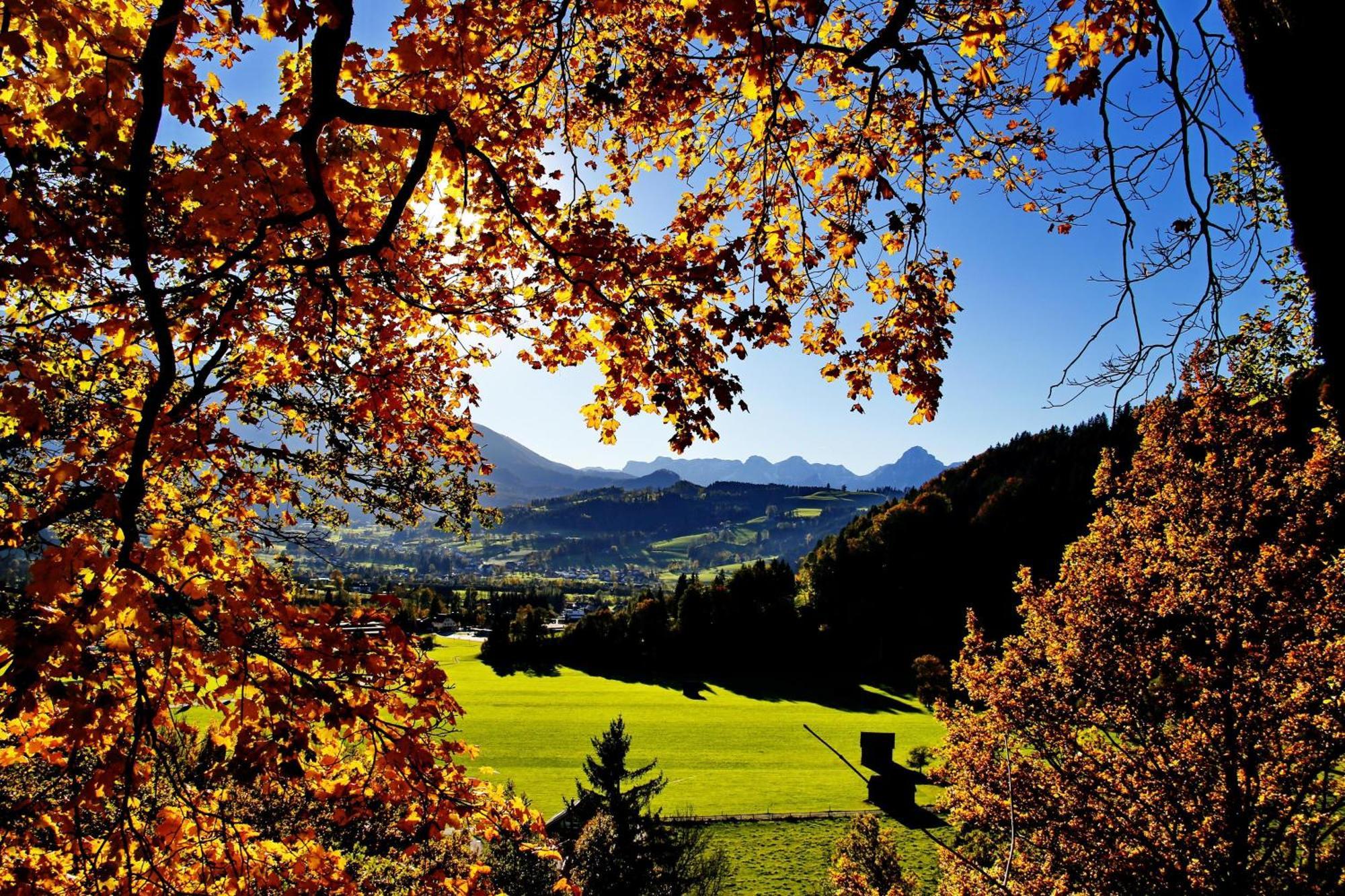 Ferienwohnung Pyhrgasblick Rosenau am Hengstpass Екстер'єр фото